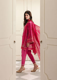 Ziven - Kanwal Malik