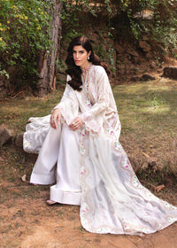 Amelia - Kanwal Malik