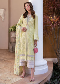 Celine - Kanwal Malik