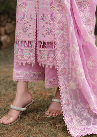 Maisie - Kanwal Malik