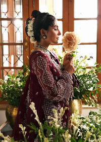 Safiya - Kanwal Malik