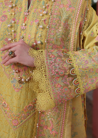 Summer - Kanwal Malik