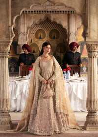 Zaariya - Stitched