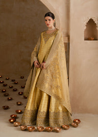 Roohi