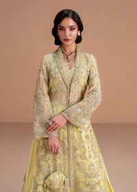 Meira - Kanwal Malik